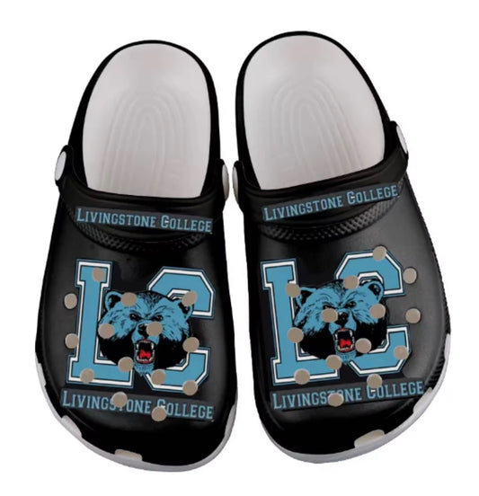 Custom LC Plastic/Foam Clog